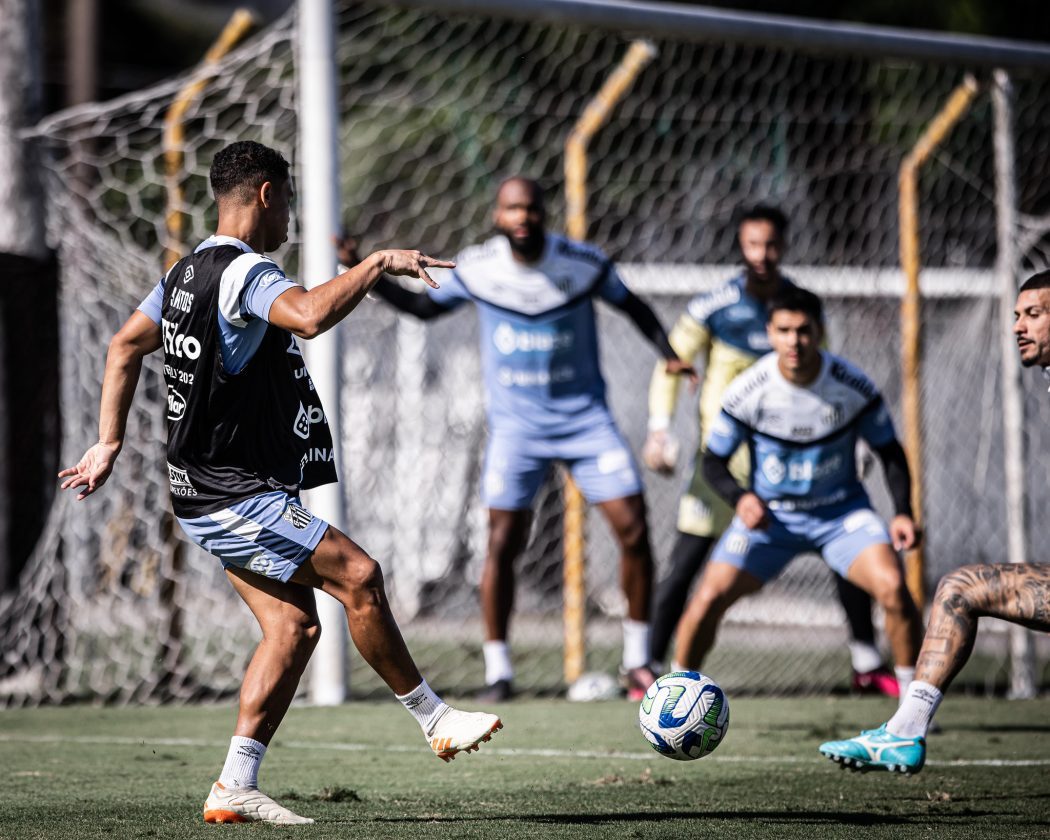 Com apenas o Brasileirão, Santos quer voltar a vencer, para se manter na parte de cima da tabela.