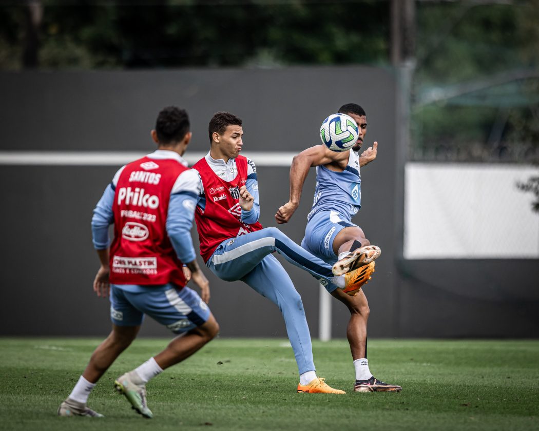 Sem vencer há 4 jogos, o Santos joga com a pressão da torcida na Vila.